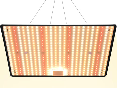 DragonLight 2024 Neueste HW3000 Pflanzenlampe LED Vollspektrum, Groß LED Grow Lampe 504 Dioden mit 3-Meter-Kabel für Gewächshaus und Zimmerpflanzen Gemüse und Blumenanbau für Growzelt 60x60cm 90x90cm