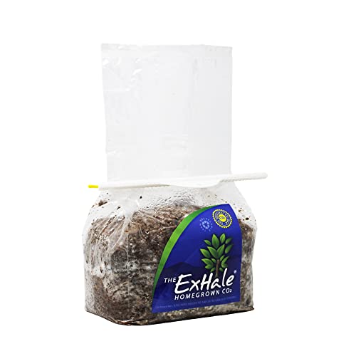 ExHale CO2 für Zimmerpflanzen
