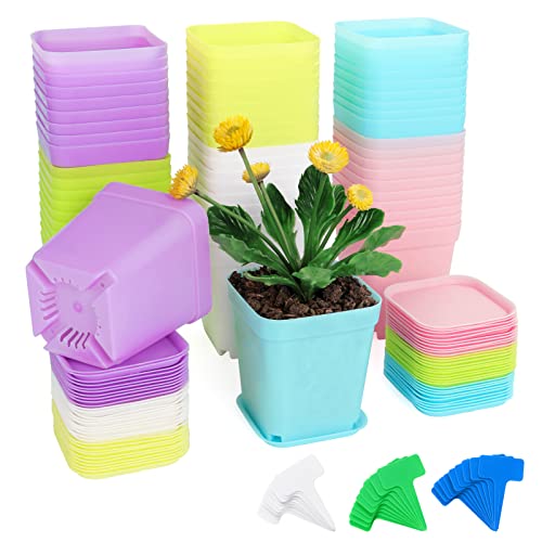 Fippy 60 Stück Plastik Pflanzentöpfe mit Untersetzer, 7cm Quadratische Plastik Anzuchttöpfe mit 60 Stück Pflanzenetiketten, Kunststoff Blumentöpfe für Garten Büro und Balkon Dekor, Multi-Color